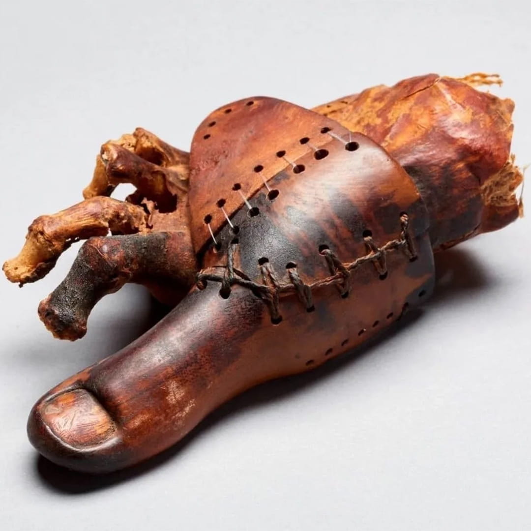 The Cairo toe, the oldest known functional prosthetic body part.